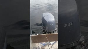 Видеообзор Yamaha F 100