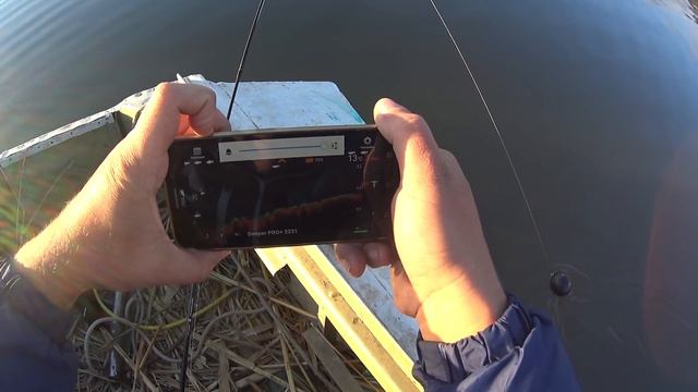 Проект "Аренда водоёма" 21 (ДР) смотреть онлайн