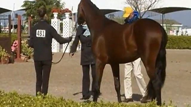 Starcraft at Capital City Classic смотреть онлайн