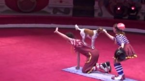 Yakuboskie.ru DogShow Clowns with dogs Moscow Circus Клоуны с собачками