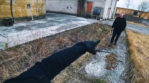 Паша Пел
