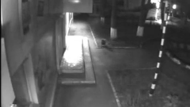 Ограбление Магазина 26,03,14 (Часть 2) смотреть онлайн