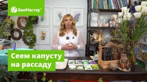 Ранний урожай капусты!