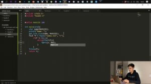 Как работать с текстовыми файлами в си (часть 3) || пишем программу