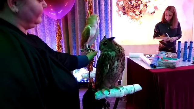 Ресторан Подмосковные вечера смотреть онлайн