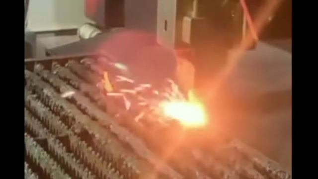 Praying mantis is git gud at dodging смотреть онлайн