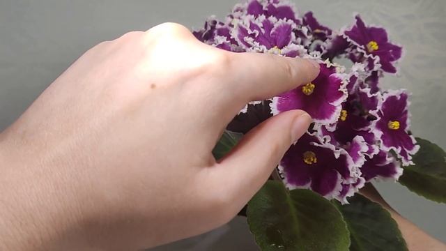 АВ-Тепло на Душе (стандарт 2019 года) смотреть онлайн