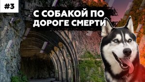 Старое Краснополянское шоссе | Красная поляна | Отдых в Адлере с собакой | С Хаски в теплые края