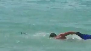 Как правильно плавать в ластах