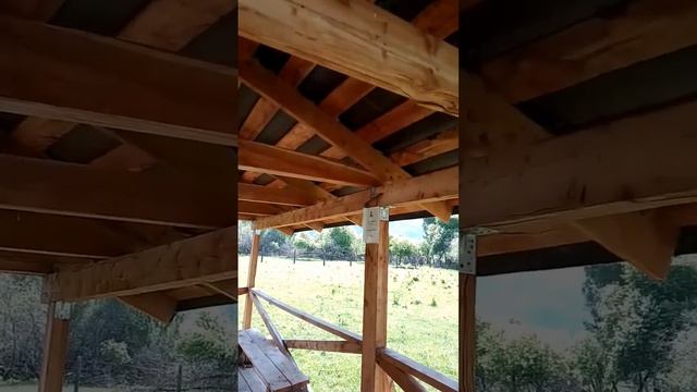 Синичка устроила гнездо в самоваре смотреть онлайн