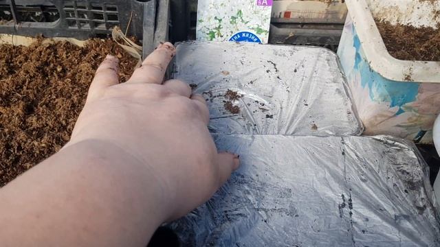 посев цветов продолжается смотреть онлайн