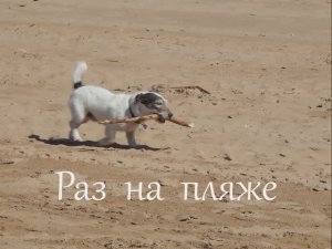 Александр Лаэртский - Раз на пляже (Клип) NEW