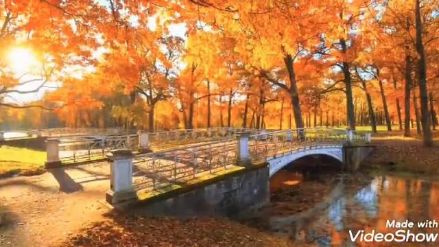 С Первым Днём Осени! С 1 Сентября! смотреть онлайн