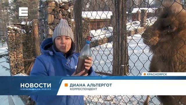 В парке «Роев ручей» показали, как согревают животных в мороз смотреть онлайн