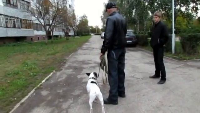 Лорд домашний тиран, часть 1, Какие у Вас проблемы..mp4 смотреть онлайн