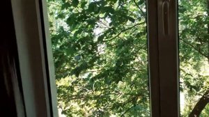 Солнышко, солнышко пожалуйста вернись. Детская песня. Поёт Калыкова Лаура (6 лет)