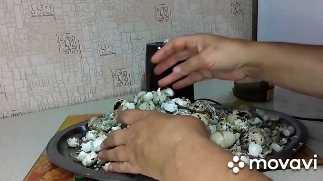 Скорлупа яиц перепелиных!