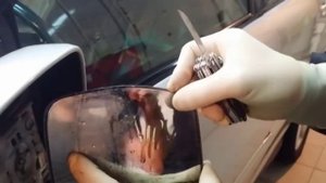 Ремонт зеркала заднего вида на Lexus RX350