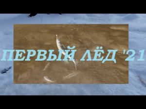 Первая рыбалка 21-го года на микроречке в -32 // ЖОР ельца