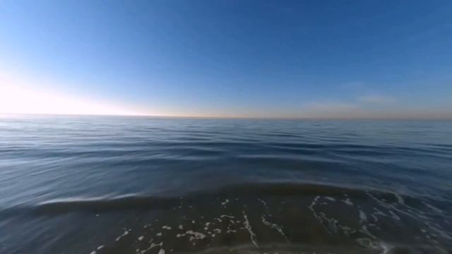 Уэйн Дайер. Сделайте свою жизнь такой, как вы хотите