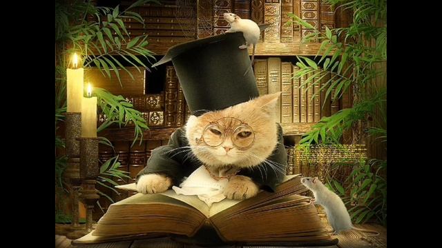 Анекдот  Кот и теорема Пифагора53682865 смотреть онлайн