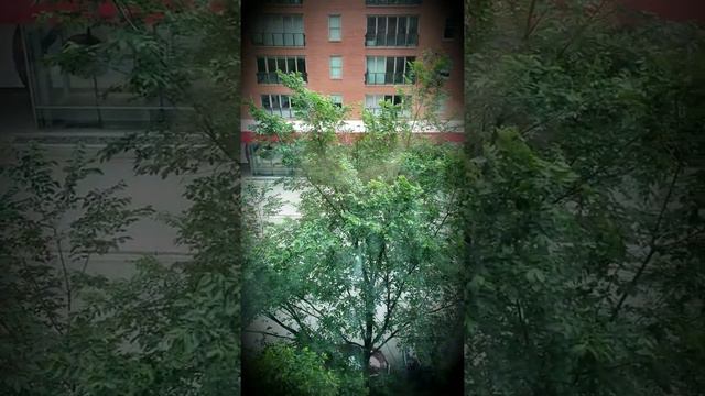 Мой мир заботится обо мне