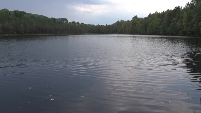 По новой дороге к любимым местам. Мшинская-Большое Осиновское-Кемка-Толмачёво