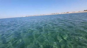 Штормовое Крым. Знойный пляж. 16 сентября 2020