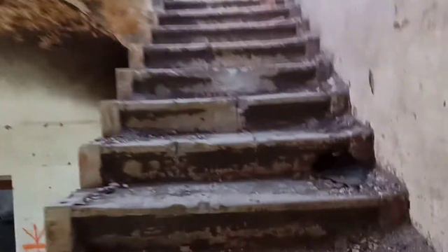 Руины Орловых-Давыдовых в Усолье. Шигонский район. смотреть онлайн