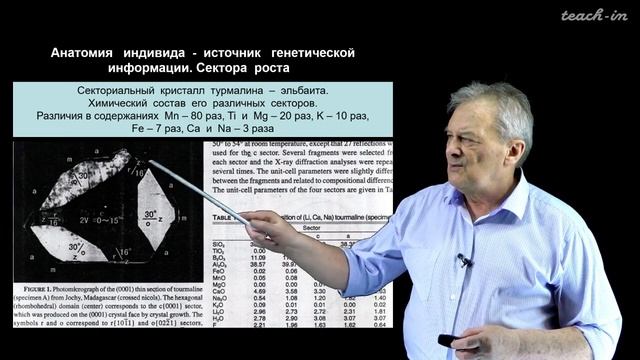 Э.М. Спиридонов. Лекция 6. смотреть онлайн