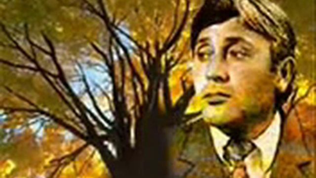 Гошгы сетирлери смотреть онлайн