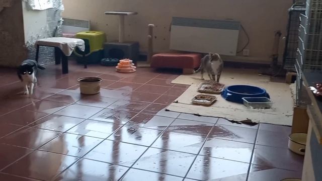 Отчет за 31.01.2024 смотреть онлайн