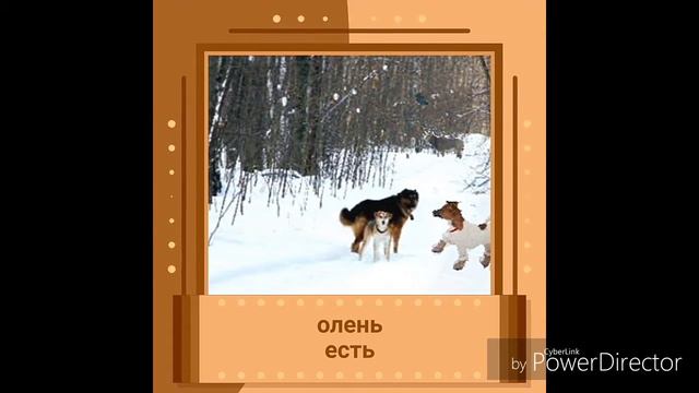 милые создания ：）поставь лайк🙏👍 смотреть онлайн