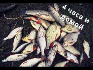 Плотва?, красноперка?, тарань?, карась?. И это все на одной рыбалке?.))) Эх порыбачим или полов