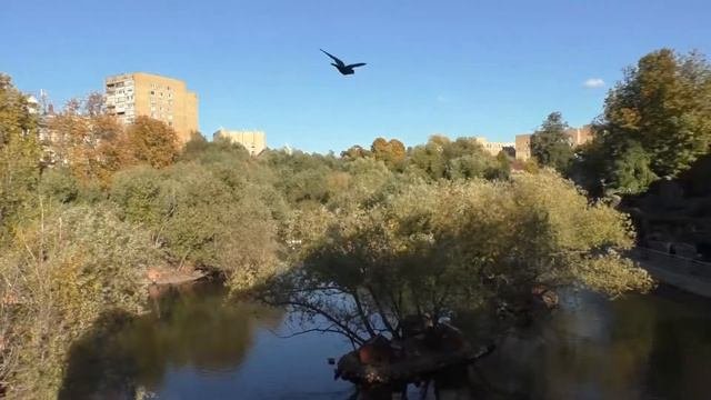 Билецкий Валерий, Голубятова Дарья Зоопарк
