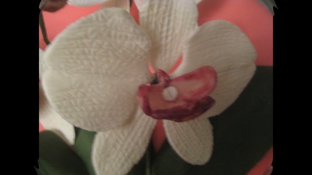 МОИ САХАРНЫЕ ЦВЕТЫ смотреть онлайн