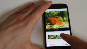Объединить 2 видео в 1 видео в Instagram на iPhone