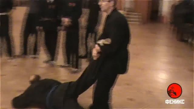 Джиу-джитсу