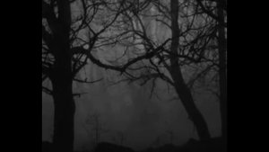 Gothic Melancholy "Lacrimosa"