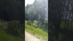 крутая поездка паз 3206 колобово?