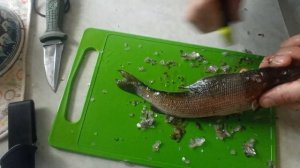 Мои ножи для чистки рыбы.