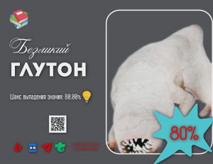 Безликий Глутон!Black Desert 2023