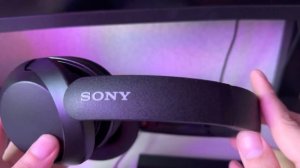 Sony WH-XB910n друзья для прогулок