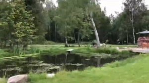Прекрасная поездка на малую родину. Город Чухлома, Костромская область.
