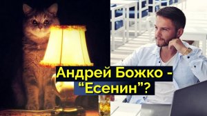 Андрей Божко -  Есенин? Что не так с 'соционикой стихий'? | Благостная соционика. Центр Архетип