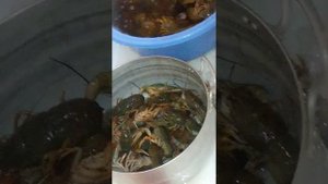 Где раки зимуют??