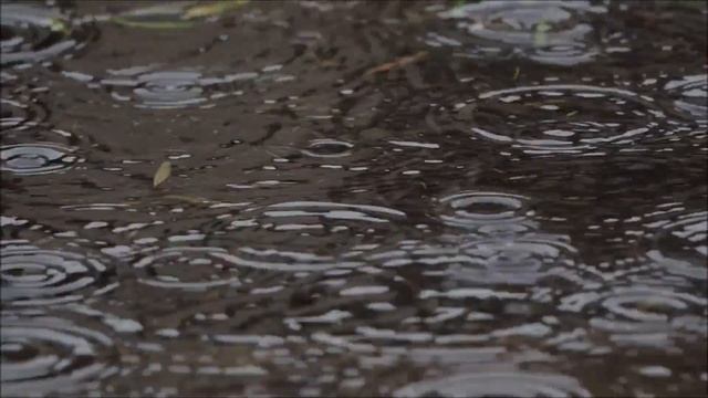 Шум дождя для и Музыка для сна младенца Колыбельная для сна смотреть онлайн