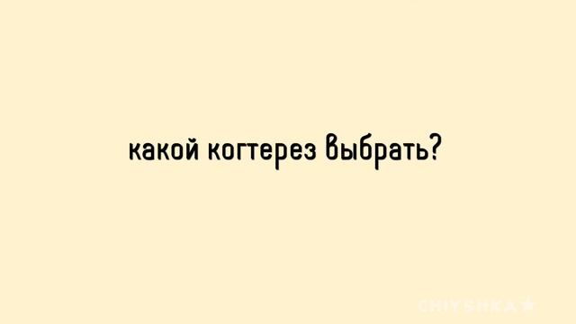 Когти СЛОЖНО? ?|#морскаясвинка #грызуны #diy #когтерезка как это? Свинка Чиу??