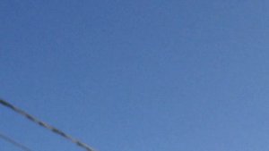 #Falkon Peregrinus Attack.Наслаждайтесь протвостоянию ГОЛУБЬ-САПСАН!!!