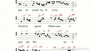 Canticum (Tractus): Jubilate Domino